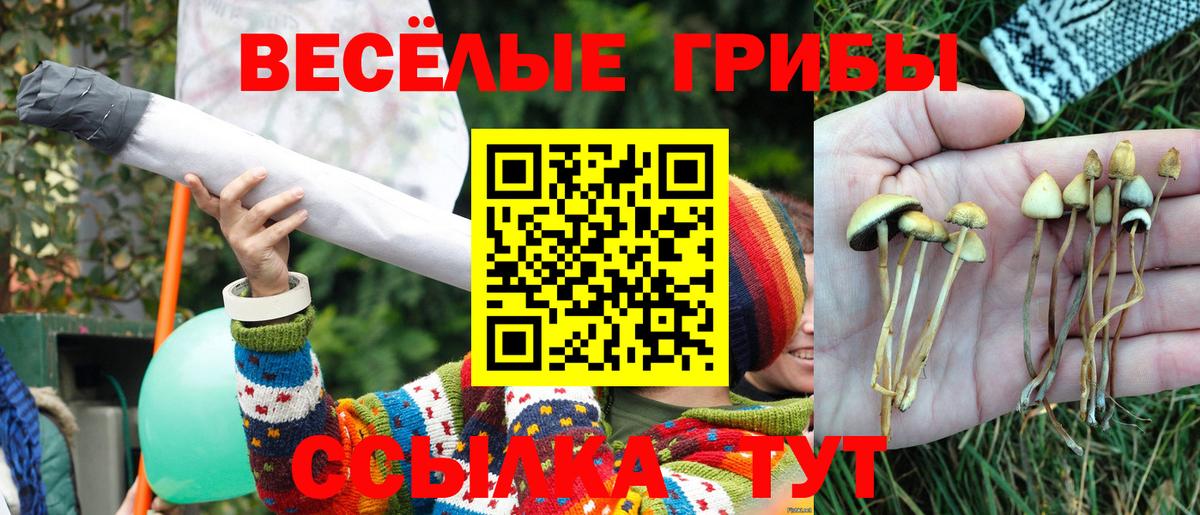 Псилоцибиновые грибы Magic Shrooms  Вход с VPN  Дербент 